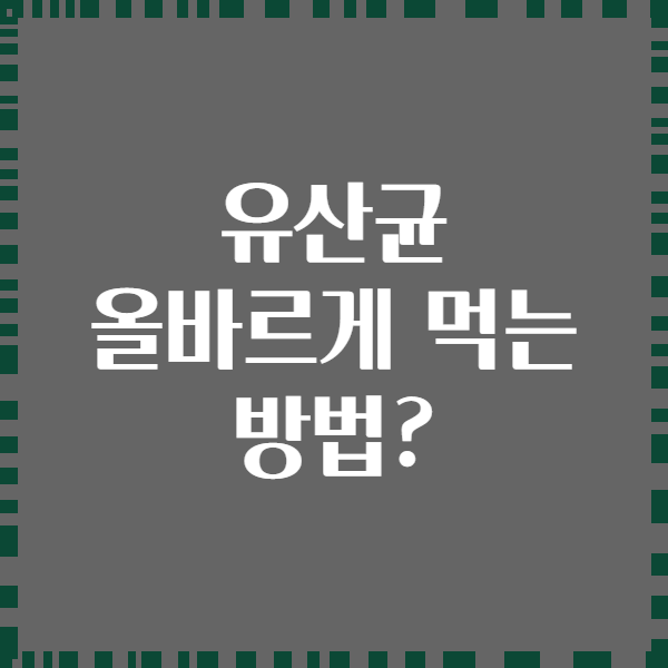 유산균 올바르게 먹는 방법?