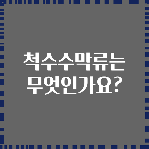 척수수막류는 무엇인가요?