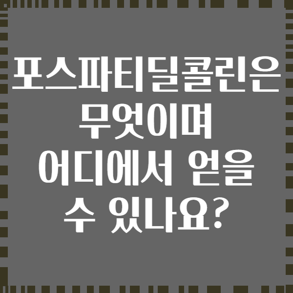 포스파티딜콜린은 무엇이며 어디에서 얻을 수 있나요?