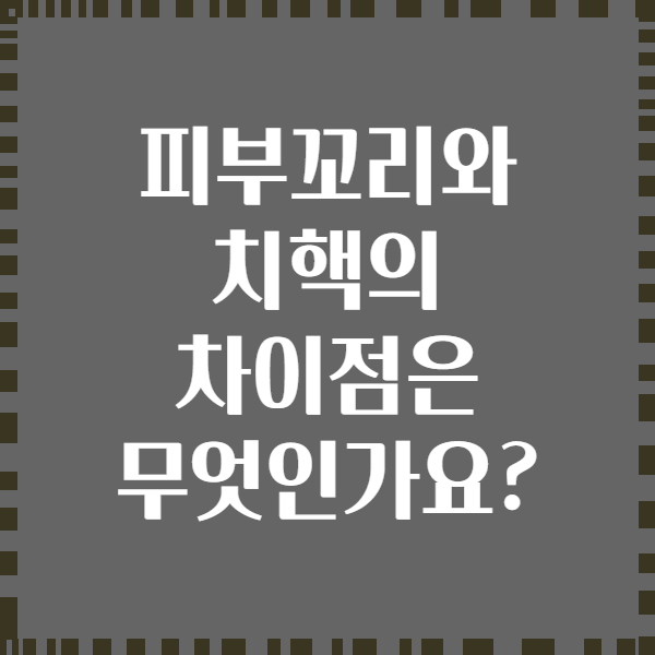 피부꼬리와 치핵의 차이점은 무엇인가요?