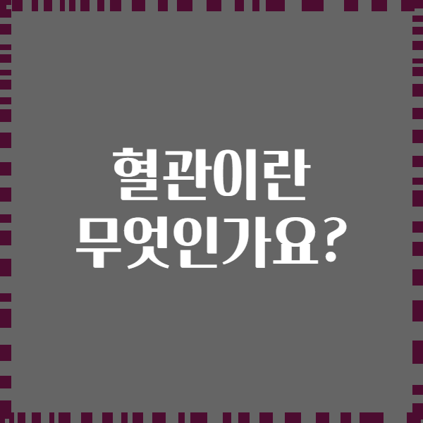 혈관이란 무엇인가요?